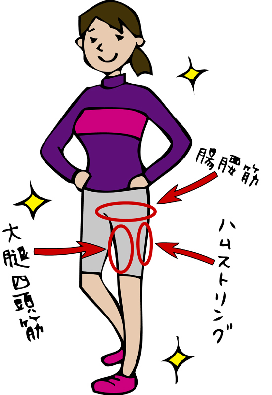 大腿四頭筋、腸腰筋はここ
