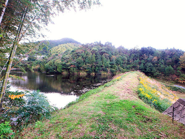 段丘の先端にある原風景「めぐり池」