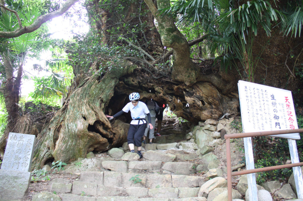 大三島、生樹の御門