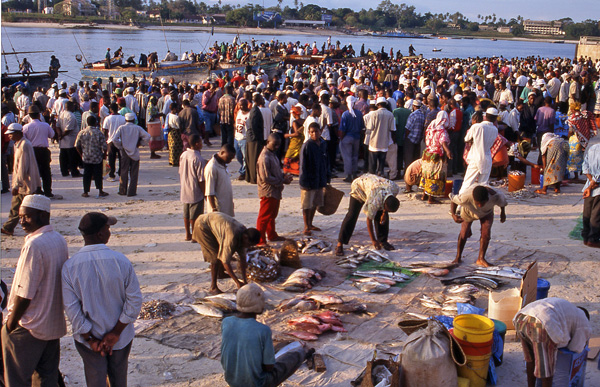 タンザニアの主都ダルエス・サラームの魚市場