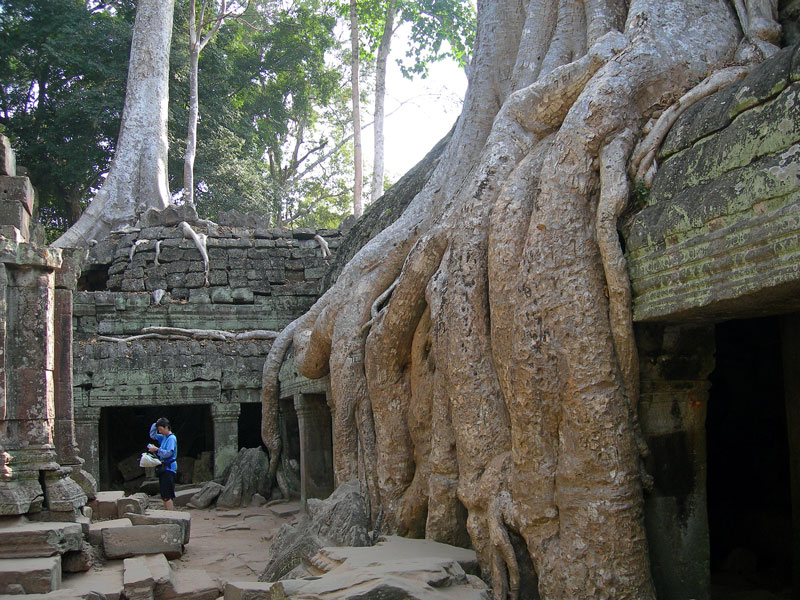 カンボジアのアンコールワット、タ・プローム遺跡