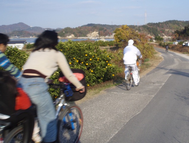岩城島をサイクリング