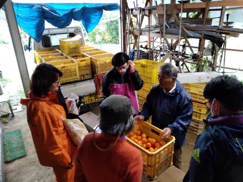 しまなみ海道でのワーケーションツーリズム 農業編で井上果樹園を訪れた